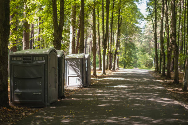 Best Luxury portable toilet rental  in Ithaca, MI